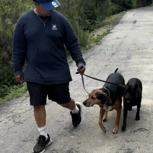 Screenshot 2025 04 07 at 1.20.01 PM